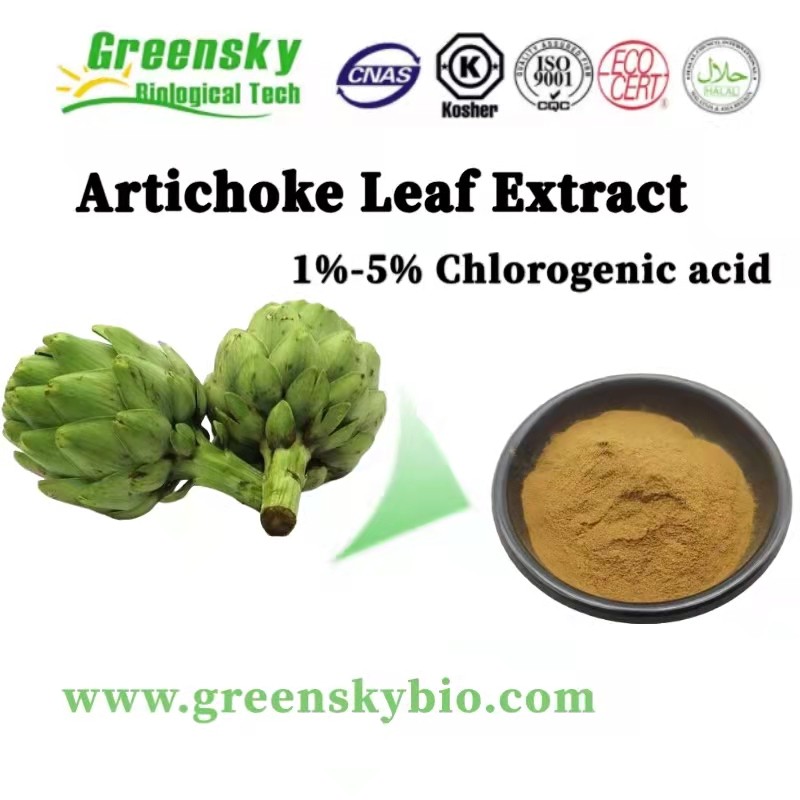 Artichoke Extract 1%-5% Cynarin