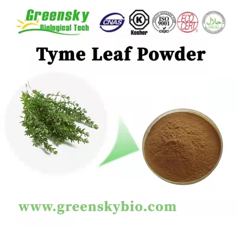 Thyme Powder: Discover the Amazing Health Benefits and Culinary Uses
