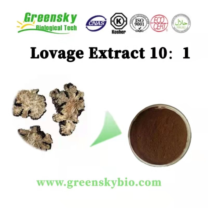 Lovage Extract 10:1: Discover the Potent Health Benefits of This Herbal Powerhouse