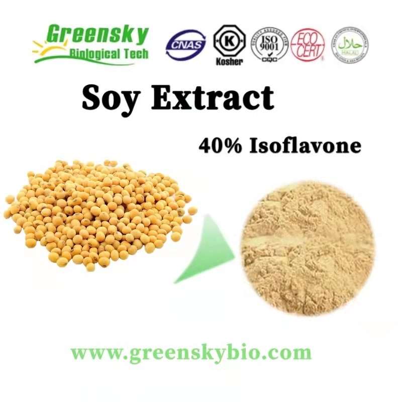 Soybean Extract: Unveiling the Health Benefits and Applications of this Nutritional Powerhouse