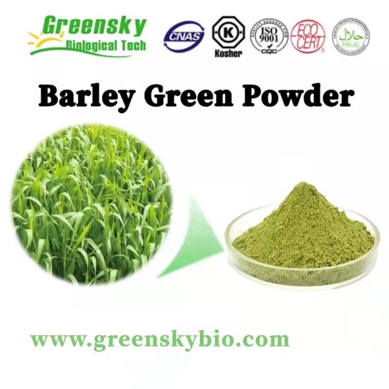 Barley Grass Powder: Discover the Nutritional Powerhouse and Its Remarkable Health Benefits