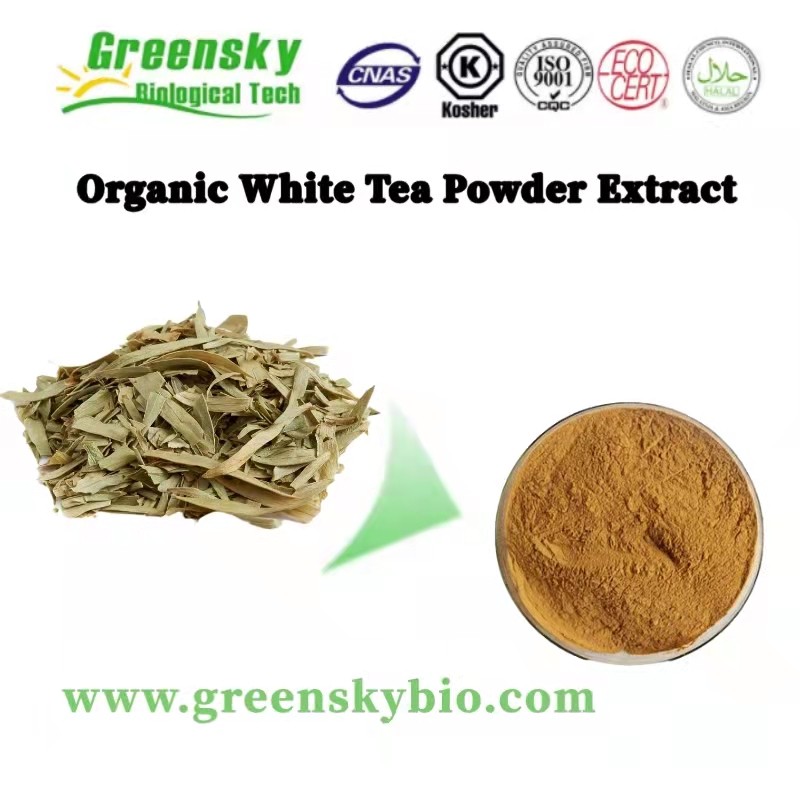 White Tea: Experience the Delicate Taste and Remarkable Health Benefits of Our Luxurious Beverage fo