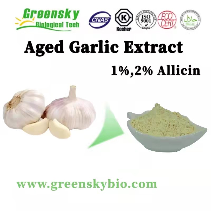 Garlic Benefits and Uses: Unveiling the Health Advantages of Aged Garlic Extract from Our Company