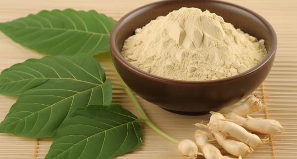 ​Panax Ginseng Leaf Extract