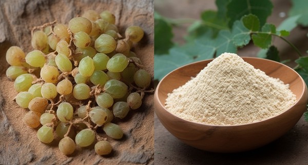 Boswellia Serrata Extract