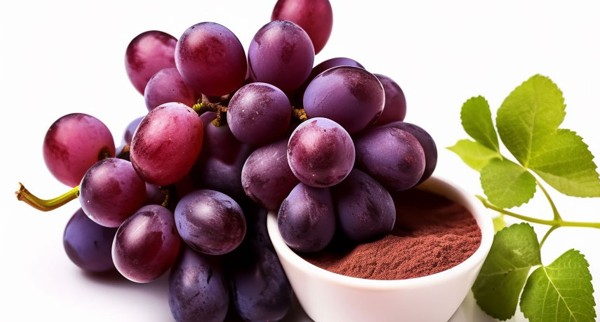 Grape Seed Extract